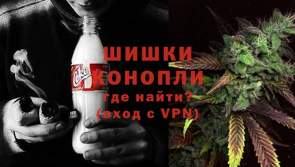 шишки Баксан