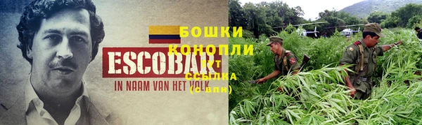 дмт Балабаново