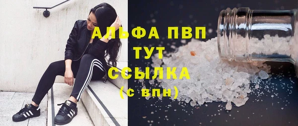 шишки Баксан
