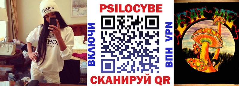 Псилоцибиновые грибы GOLDEN TEACHER  Каргат 
